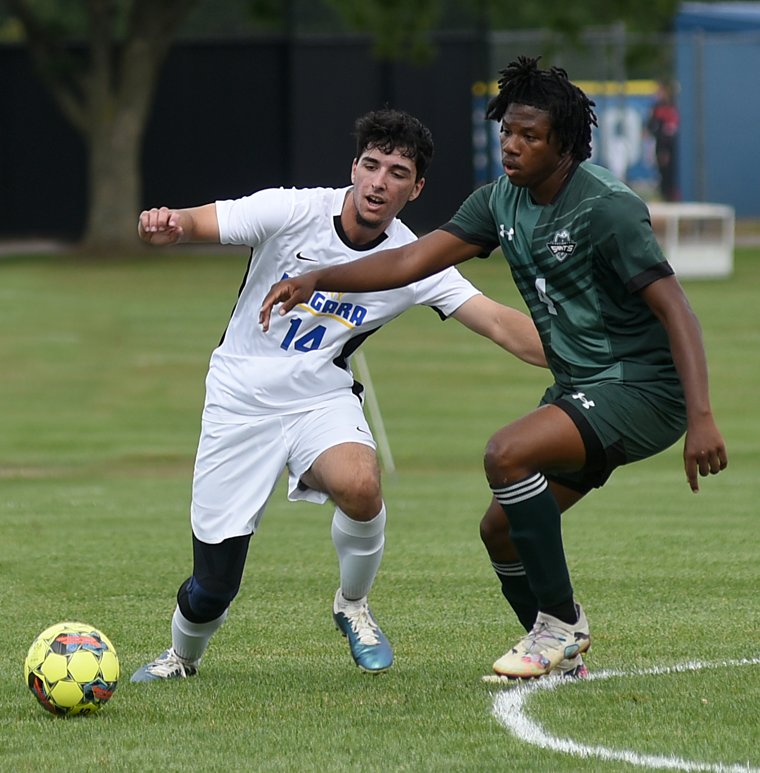 SUNY Niagara records second tie